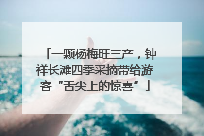 一颗杨梅旺三产，钟祥长滩四季采摘带给游客“舌尖上的惊喜”