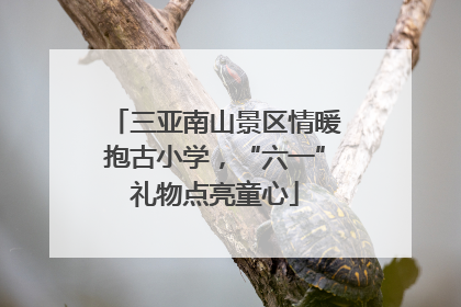 三亚南山景区情暖抱古小学，“六一”礼物点亮童心