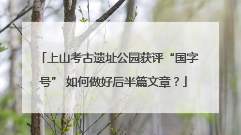 上山考古遗址公园获评“国字号” 如何做好后半篇文章？