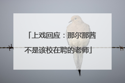 上戏回应：那尔那茜不是该校在聘的老师