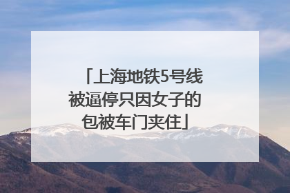 上海地铁5号线被逼停只因女子的包被车门夹住