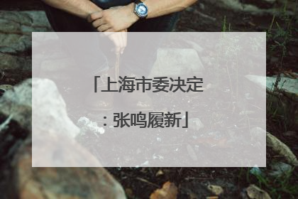 上海市委决定：张鸣履新