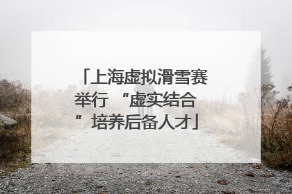 上海虚拟滑雪赛举行 “虚实结合”培养后备人才