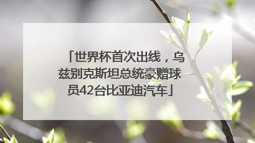 世界杯首次出线，乌兹别克斯坦总统豪赠球员42台比亚迪汽车