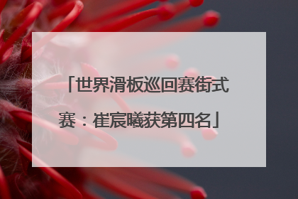 世界滑板巡回赛街式赛：崔宸曦获第四名