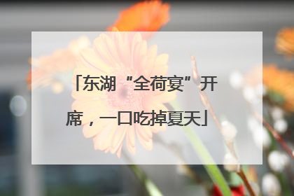 东湖“全荷宴”开席，一口吃掉夏天