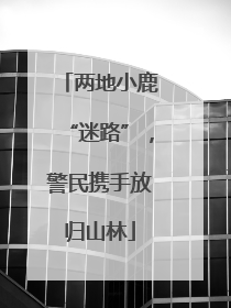 两地小鹿“迷路”，警民携手放归山林