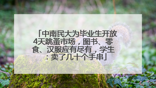 中南民大为毕业生开放4天跳蚤市场，图书、零食、汉服应有尽有，学生：卖了几十个手串
