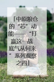 中原粮仓的“芯”动能——“打赢这一战 底气从何来”系列观察之四