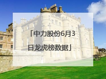 中力股份6月3日龙虎榜数据