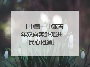 中国—中亚青年双向奔赴促进民心相通