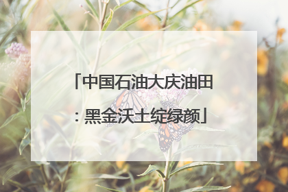 中国石油大庆油田：黑金沃土绽绿颜