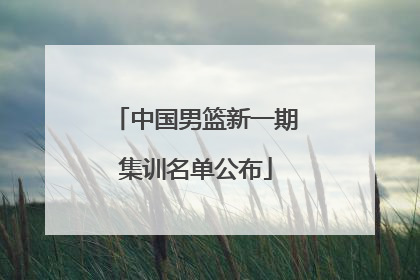 中国男篮新一期集训名单公布