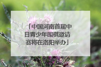 中国河南首届中日青少年围棋邀请赛将在洛阳举办