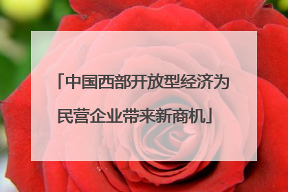 中国西部开放型经济为民营企业带来新商机