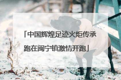 中国辉煌足迹火炬传承跑在闽宁镇激情开跑