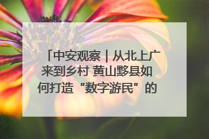 中安观察｜从北上广来到乡村 黄山黟县如何打造“数字游民”的“桃花源”？