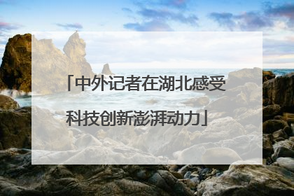 中外记者在湖北感受科技创新澎湃动力