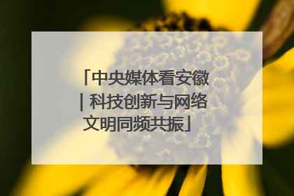 中央媒体看安徽｜科技创新与网络文明同频共振