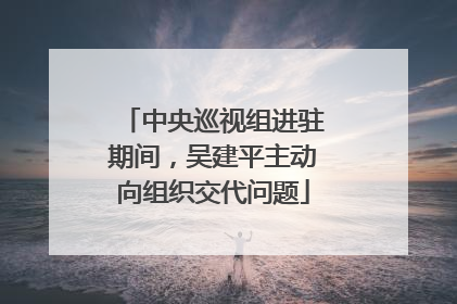 中央巡视组进驻期间，吴建平主动向组织交代问题