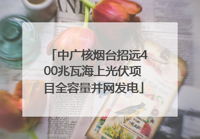 中广核烟台招远400兆瓦海上光伏项目全容量并网发电