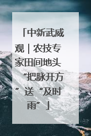 中新武威观｜农技专家田间地头“把脉开方”送“及时雨”