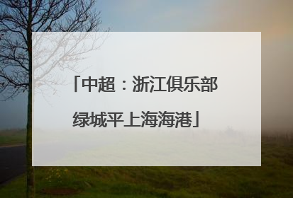 中超：浙江俱乐部绿城平上海海港