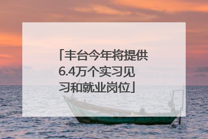 丰台今年将提供6.4万个实习见习和就业岗位