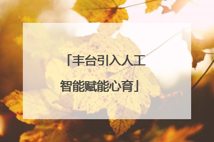 丰台引入人工智能赋能心育