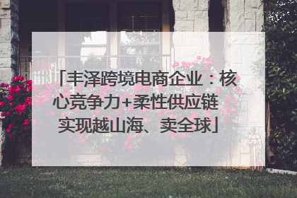丰泽跨境电商企业：核心竞争力+柔性供应链 实现越山海、卖全球