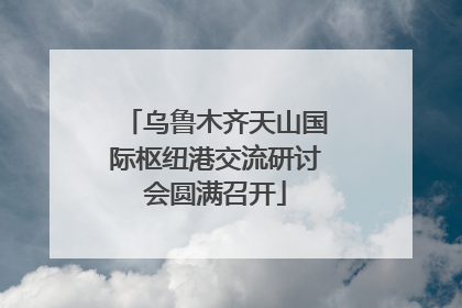 乌鲁木齐天山国际枢纽港交流研讨会圆满召开