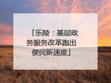乐陵：基层政务服务改革跑出便民新速度