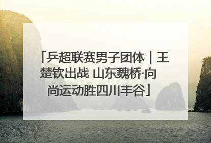 乒超联赛男子团体｜王楚钦出战 山东魏桥·向尚运动胜四川丰谷
