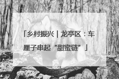 乡村振兴｜龙亭区：车厘子串起“甜蜜链”