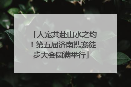 人宠共赴山水之约！第五届济南携宠徒步大会圆满举行