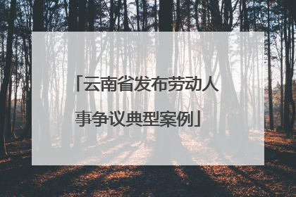 云南省发布劳动人事争议典型案例