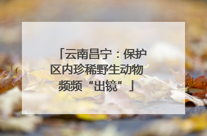 云南昌宁：保护区内珍稀野生动物频频“出镜”