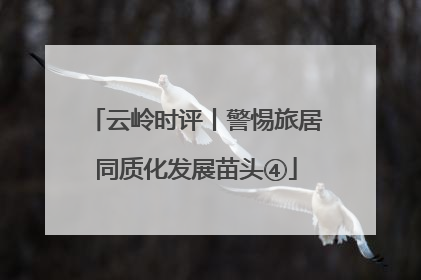 云岭时评丨警惕旅居同质化发展苗头④