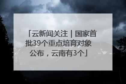 云新闻关注｜国家首批39个重点培育对象公布，云南有3个