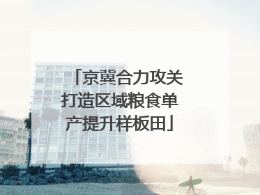 京冀合力攻关打造区域粮食单产提升样板田