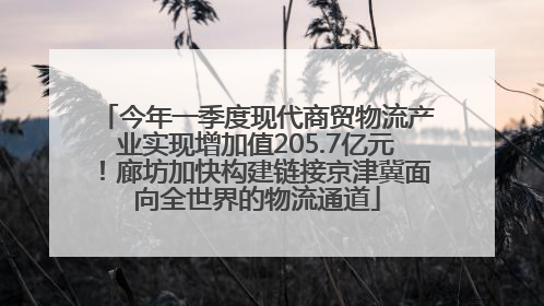 今年一季度现代商贸物流产业实现增加值205.7亿元！廊坊加快构建链接京津冀面向全世界的物流通道