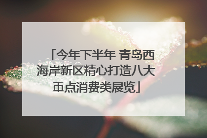 今年下半年 青岛西海岸新区精心打造八大重点消费类展览