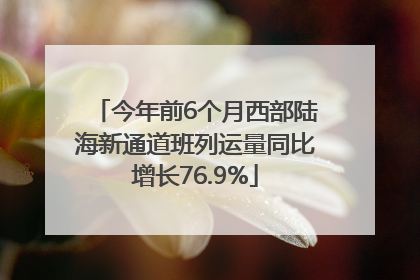 今年前6个月西部陆海新通道班列运量同比增长76.9%