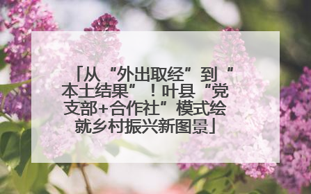 从“外出取经”到“本土结果”！叶县“党支部+合作社”模式绘就乡村振兴新图景