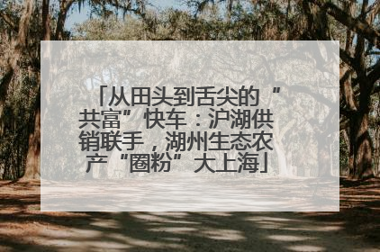 从田头到舌尖的“共富”快车：沪湖供销联手，湖州生态农产“圈粉”大上海