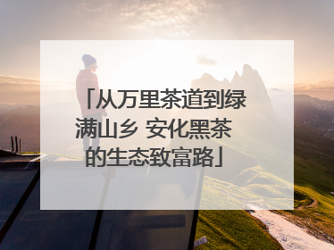 从万里茶道到绿满山乡 安化黑茶的生态致富路