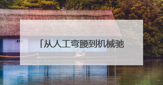 从人工弯腰到机械驰骋 即墨蓝村水稻种植开启智能农耕新模式