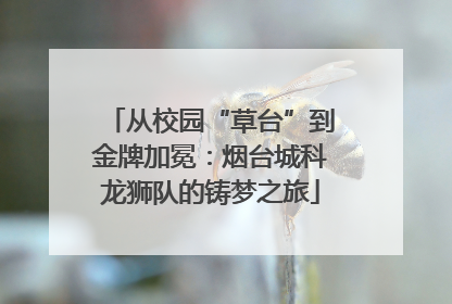 从校园“草台”到金牌加冕：烟台城科龙狮队的铸梦之旅