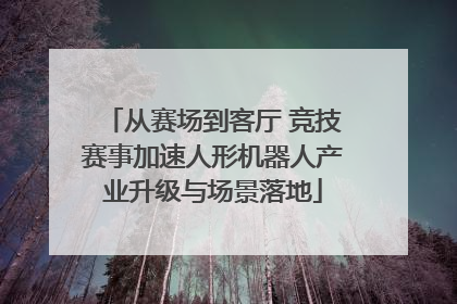 从赛场到客厅 竞技赛事加速人形机器人产业升级与场景落地