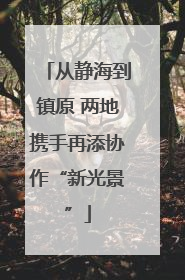 从静海到镇原 两地携手再添协作“新光景”